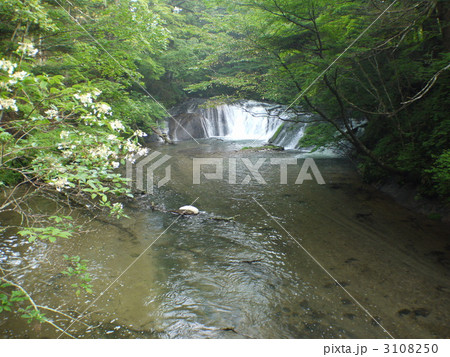戦場ヶ原・小滝 3108250