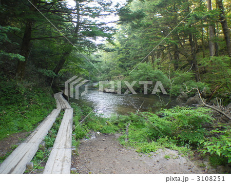 戦場ヶ原 戦場ヶ原 3108251