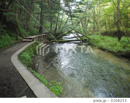 戦場ヶ原 戦場ヶ原 3108253