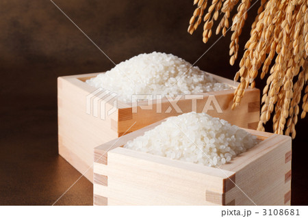 ブランド米２種＋稲穂 3108681