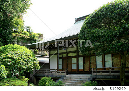 美しい竹の庭が有名な報国寺を訪れて 3109249