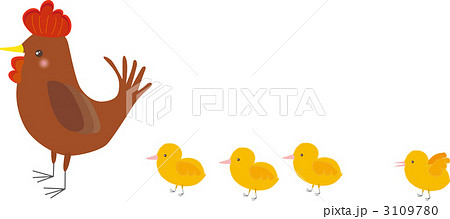 名古屋コーチン 名古屋コーチン 3109780