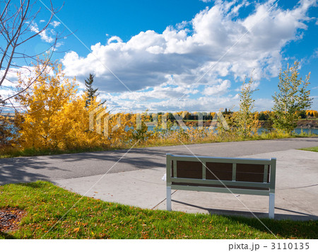 青空と黄葉を眺めて 青空と黄葉を眺めて 3110135
