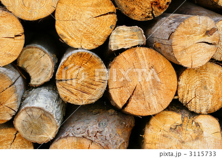 まき(輪切り) まき(輪切り) 3115733