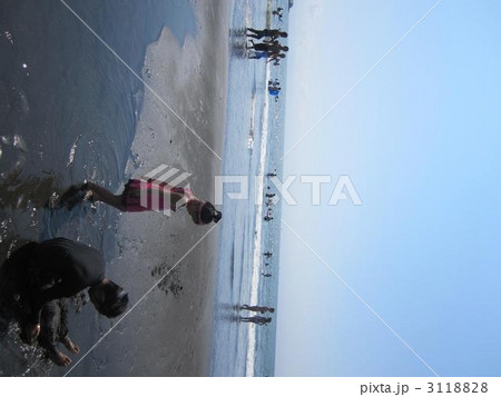 海水浴 海水浴 3118828