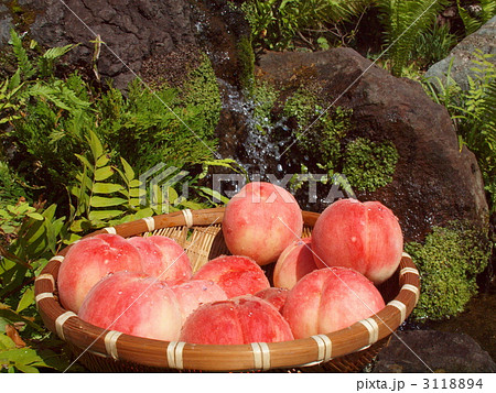 夏の果物もも 夏の果物もも 3118894