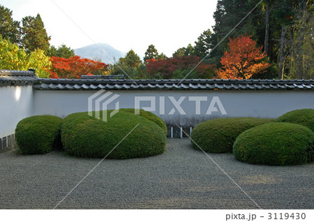 京都　正伝寺の庭 3119430