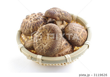 しいたけ 3119626