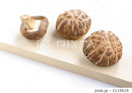 しいたけ 3119628