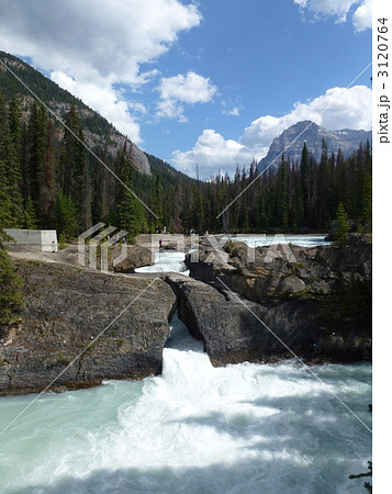 ナチュラルブリッジ ナチュラルブリッジ 3120764