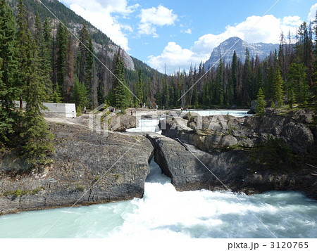 ナチュラルブリッジ ナチュラルブリッジ 3120765