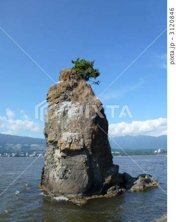 スタンレー・パークのサイワッシュロック スタンレー・パークのサイワッシュロック 3120846