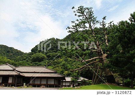 鹿児島・仙巌園 3120872