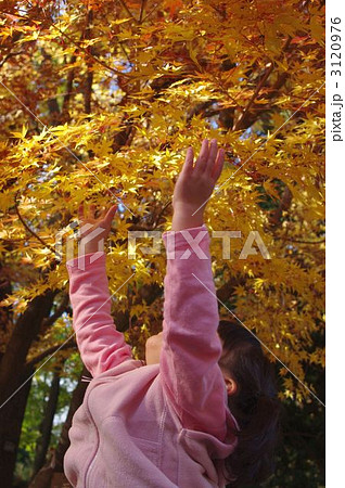 紅葉狩り 3120976
