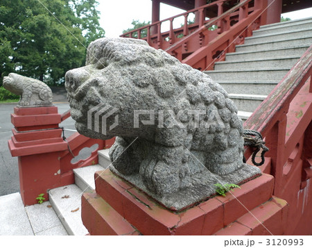 韓国 狛犬 韓国 狛犬 3120993