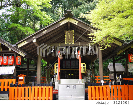 京都 縁結び 野の宮神社 本殿 3121502