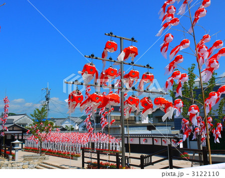 金魚ちょうちん祭り 3122110