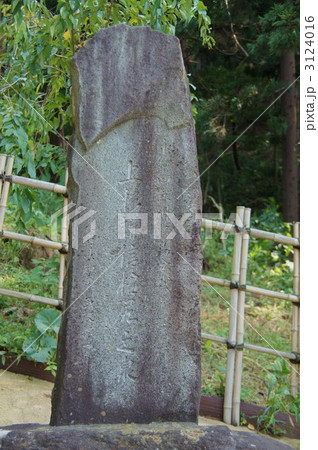 　信州まつしろ（妻女山） 3124016