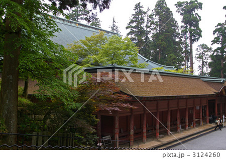 比叡山延暦寺　根本中堂と回廊（滋賀県大津市） 3124260