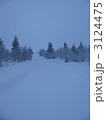 フィンランドの冬景色 3124475