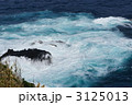 足摺岬の荒波 3125013