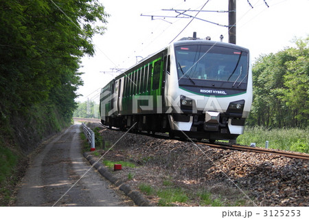 3125253