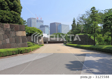 皇居東御苑 3125588
