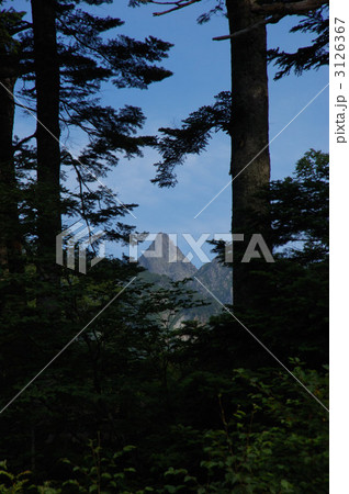 林間からの槍ヶ岳 林間からの槍ヶ岳 3126367