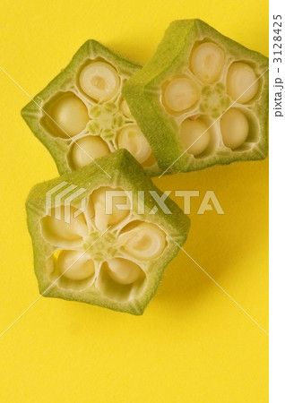 オクラ オクラ 3128425