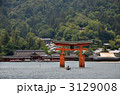 海から眺める厳島神社 3129008