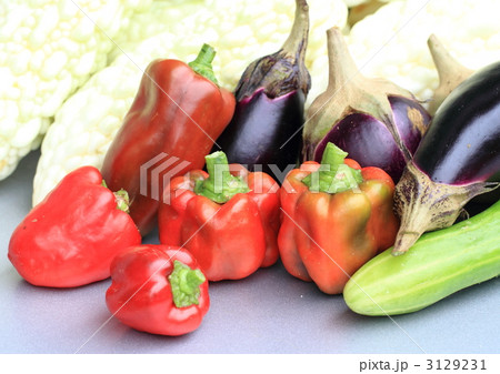 家庭菜園で収穫した野菜 3129231