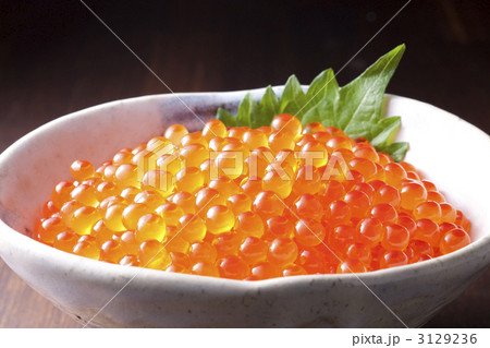 イクラ 3129236