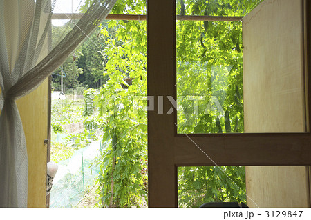 緑の家で省エネ 3129847