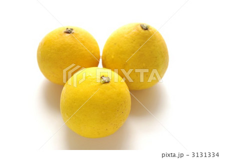 土佐の小夏 土佐の小夏 3131334