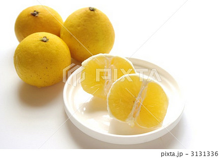 土佐の小夏 土佐の小夏 3131336