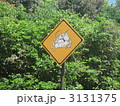 ヤドカリ注意の標識 3131375