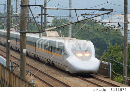 3131675