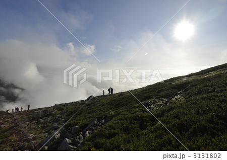 雲の上の稜線 3131802