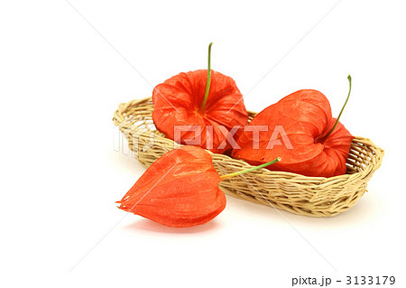 ほおずき 3133179