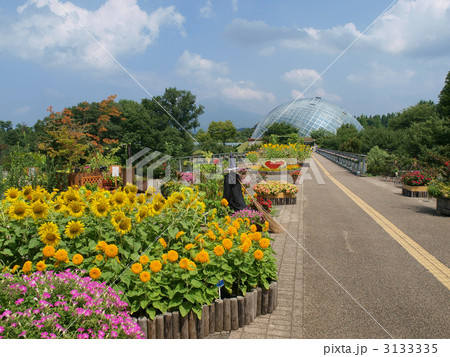 とっとり花回廊・通路の先のフラワードーム とっとり花回廊・通路の先のフラワードーム 3133335