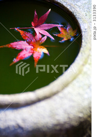 日本の秋　和イメージの紅葉 3133390