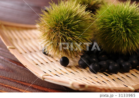 黒豆と緑の毬栗 3133965