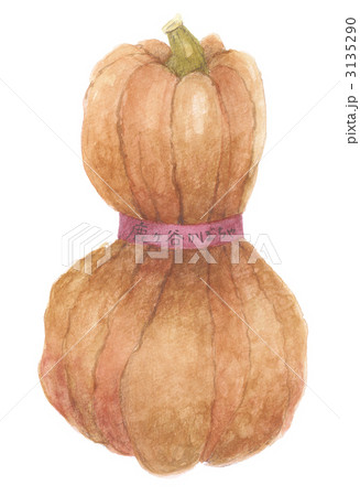 鹿ヶ谷かぼちゃ 3135290