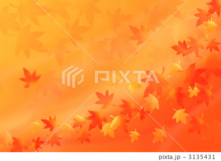 紅葉柄背景 紅葉柄背景 3135431