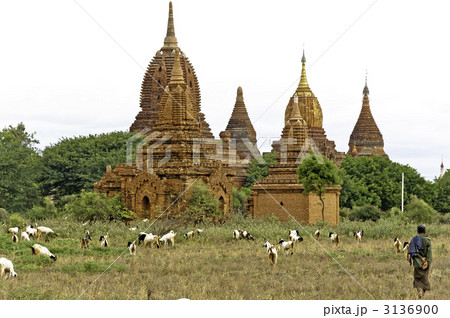 ミャンマーの寺院 3136900
