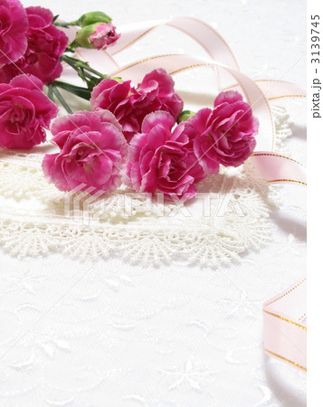 カーネーション　 3139745