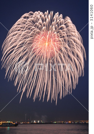臨港パークでの花火大会 臨港パークでの花火大会 3141060