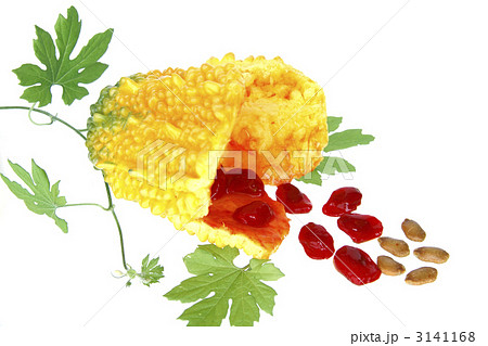 完熟ゴーヤ 完熟ゴーヤ 3141168