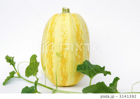 そうめんうり そうめんうり 3141392