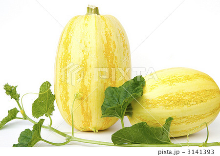 そうめん瓜 3141393